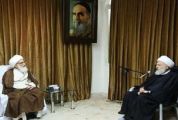 رئیس مجلس اعلای شیعیان لبنان با آیت الله نوری همدانی دیدار کرد